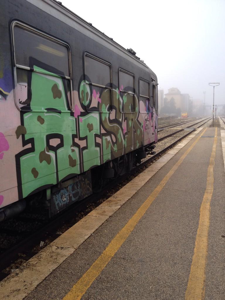SaraRattaro's tweet photo. In viaggio x Rieti sul treno fantasma #nienteècomeme @garzantilibri @simeucci http://t.co/fQlxvZZZeP