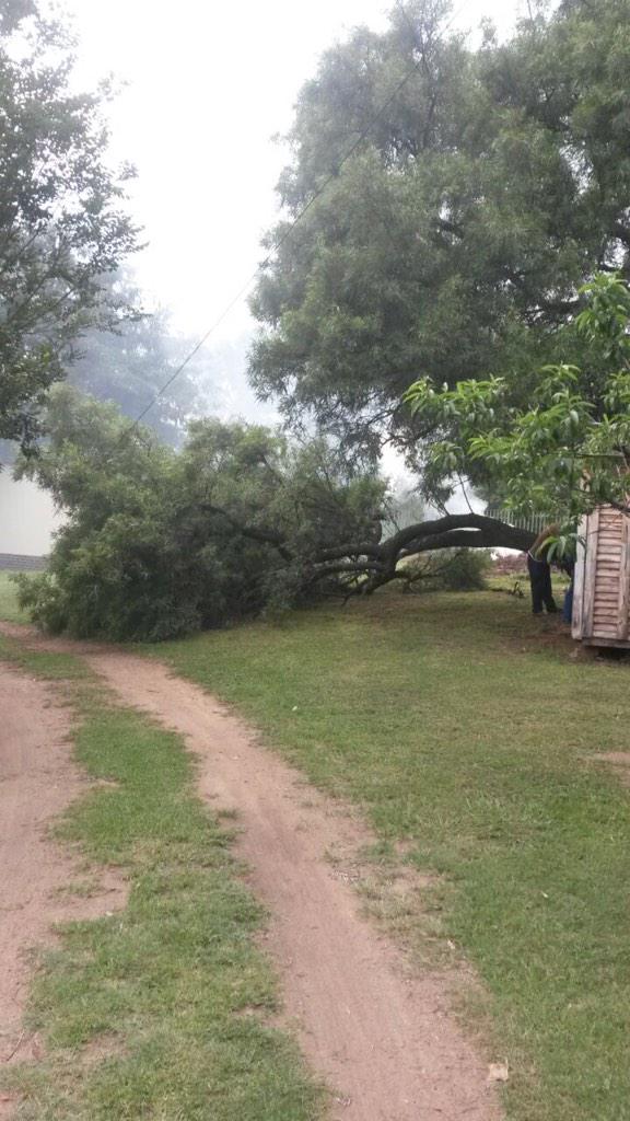 Mi_Shell_833's tweet image. 