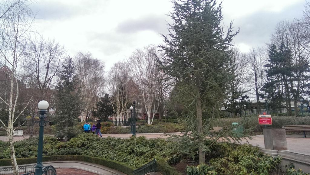 Remplacement des arbres à Disneyland Paris - Page 3 B7ZKPpOCcAAbPpY