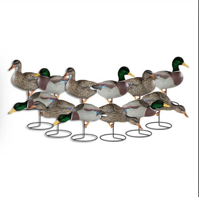 C4LLanyard's tweet photo. So we have decided to give away a dozen @DakotaDecoy mallards at 10k followers! http://t.co/HHiM91bG5N
