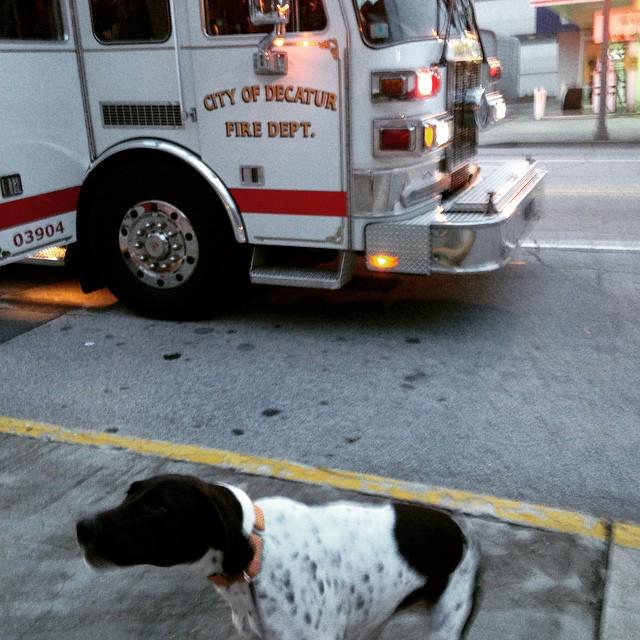 A Fire Station tweet media