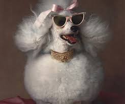 LargeandLarge's tweet image. Get the right pair of sunglasses and feel like a million dollars!