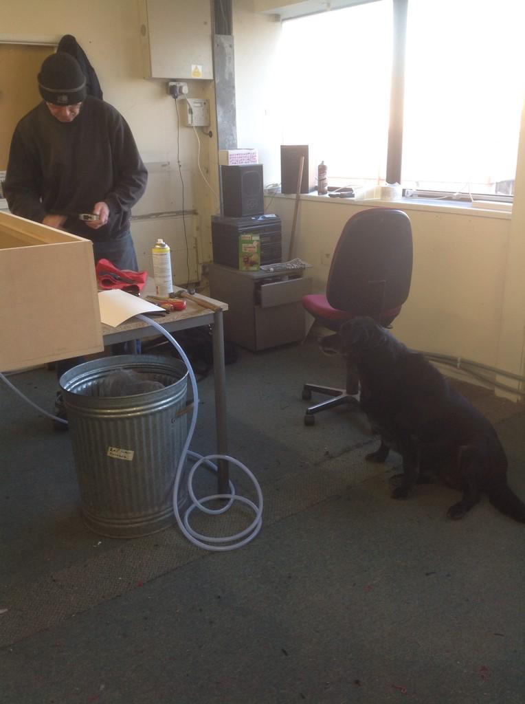 Over2Hills's tweet photo. @thedecorcafe @EcoChicInterior here's a photo of Stella our #decordog today at work http://t.co/rrRCsI8IUh