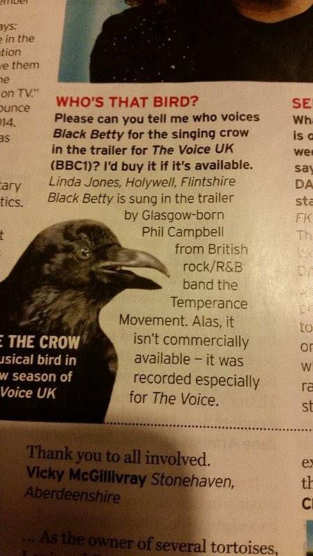 TTM_Tweets's tweet photo. The voice of the crow!  @BBCTheVoiceUK #thevoiceuk http://t.co/Xlo8lcJIfq
