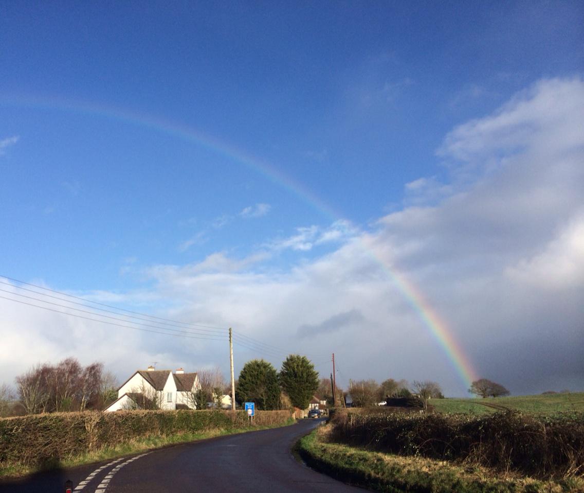 RosiesCakes's tweet photo. There are benefits to this odd #weather! #chewvalley #stantonwick http://t.co/t2OMCmB9AI
