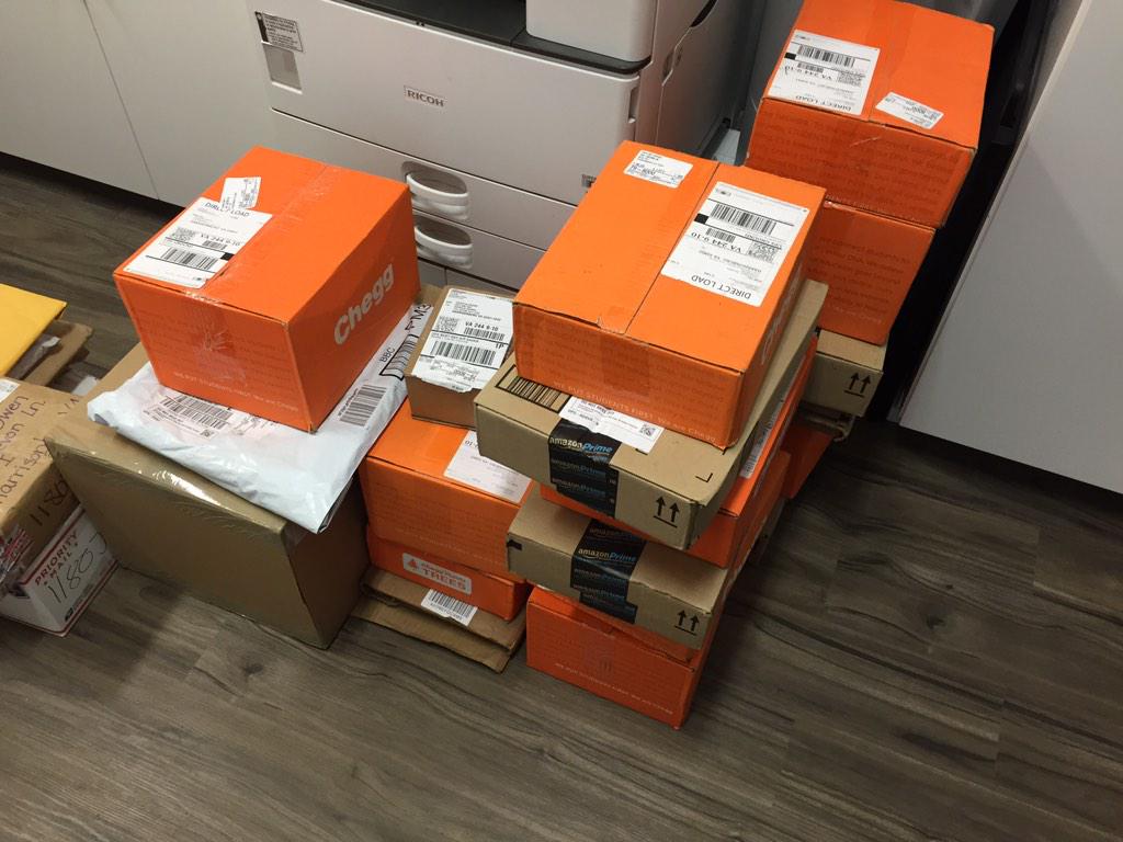 Luz Navarrete Platt tweet media