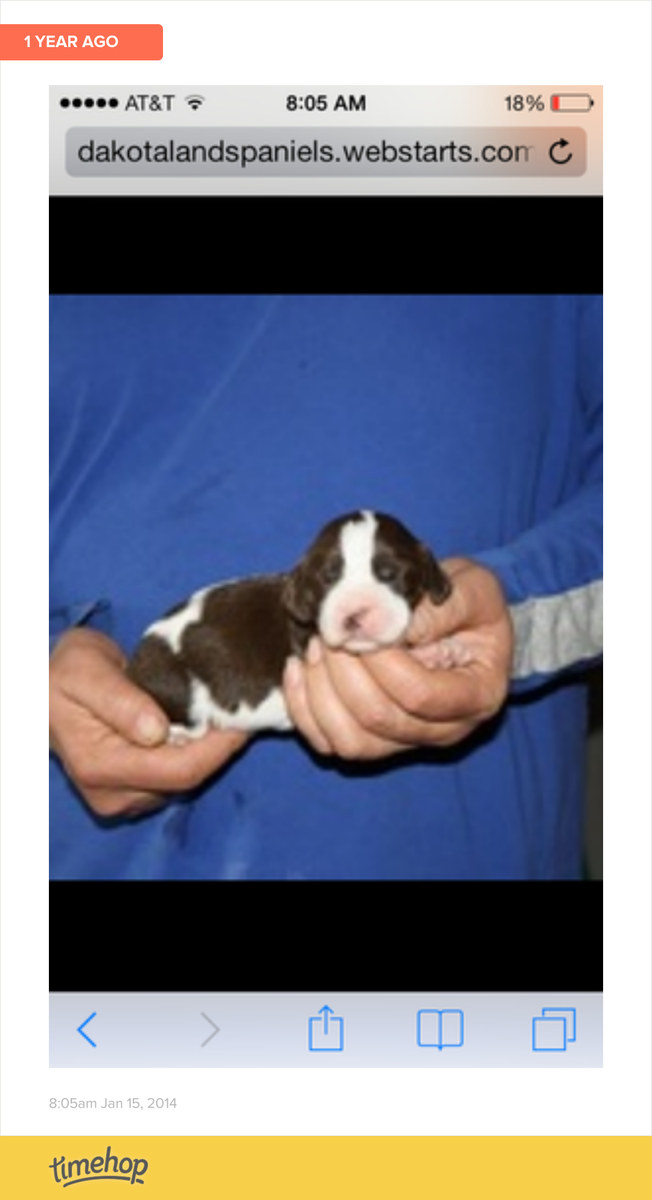 2003Dean's tweet image. Awe!! She was such a lil peanut!!  timehop.com/c/crp:F34933F2…