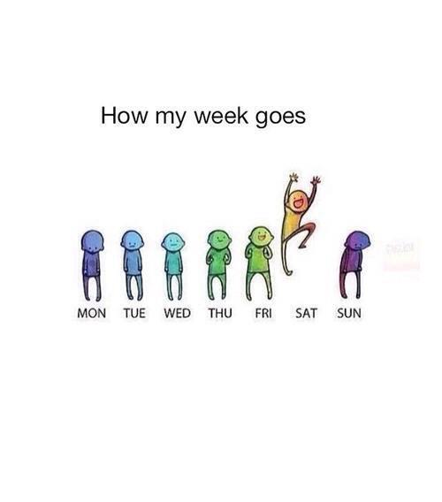 This is how my week goes 😭