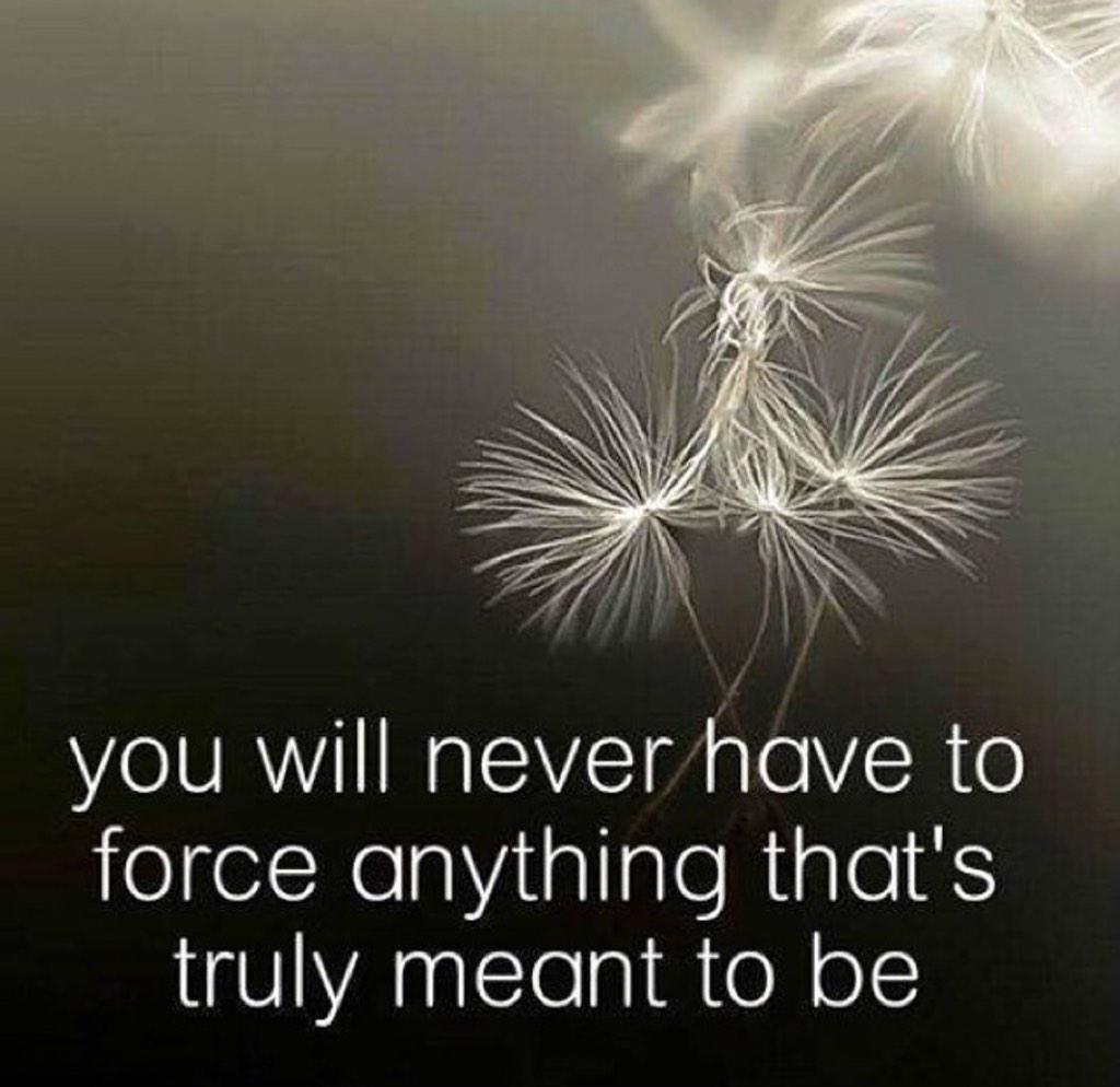 Forum on this topic: You will never have to force anything , you-will-never-have-to-force-anything/ Communication on this topic: You will never have to force anything , you-will-never-have-to-force-anything/