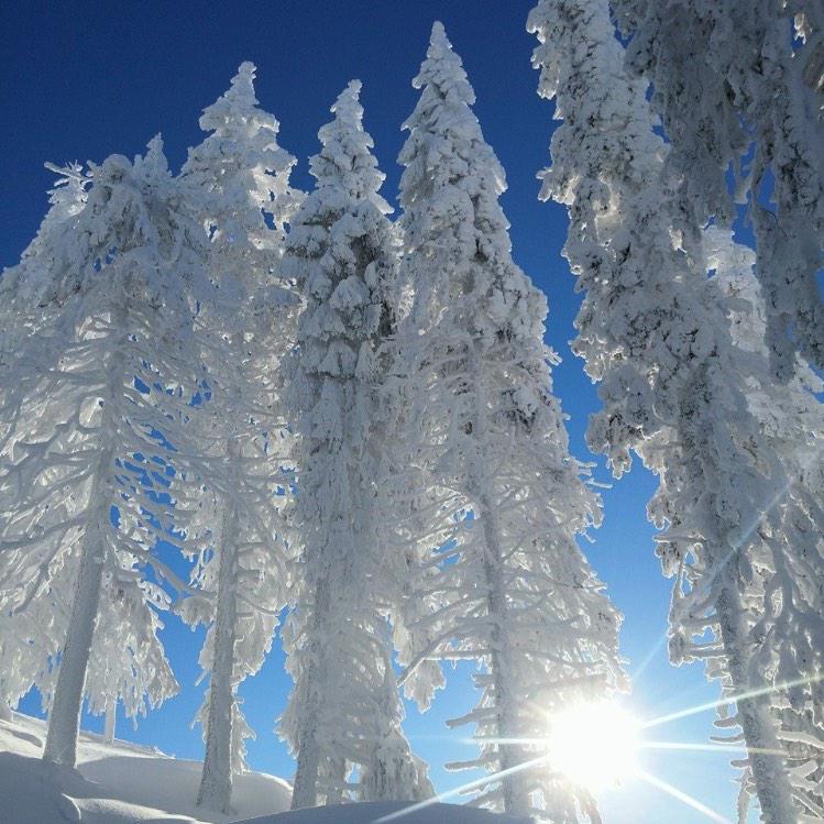 MandruRoman's tweet photo. Poiana Brașov, România http://t.co/SuptuLNUtF