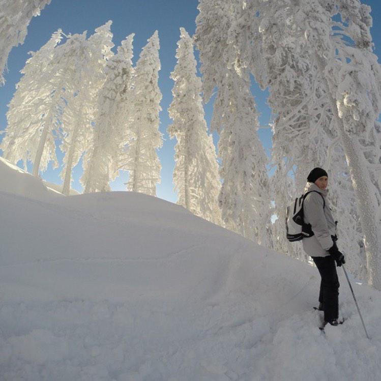 MandruRoman's tweet photo. Poiana Brașov, România http://t.co/SuptuLNUtF