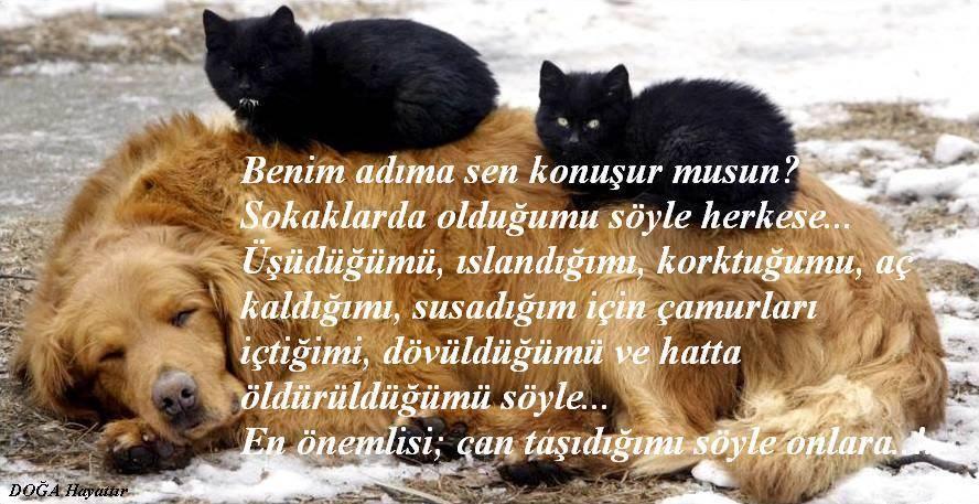 benim adıma sen konuşur musun ile ilgili görsel sonucu