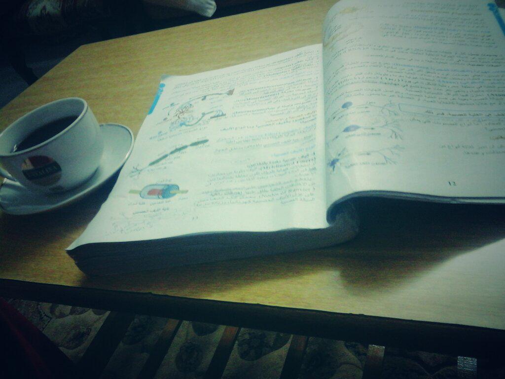 I want to give you guys one recommendation dont study science (((((never ever )))))