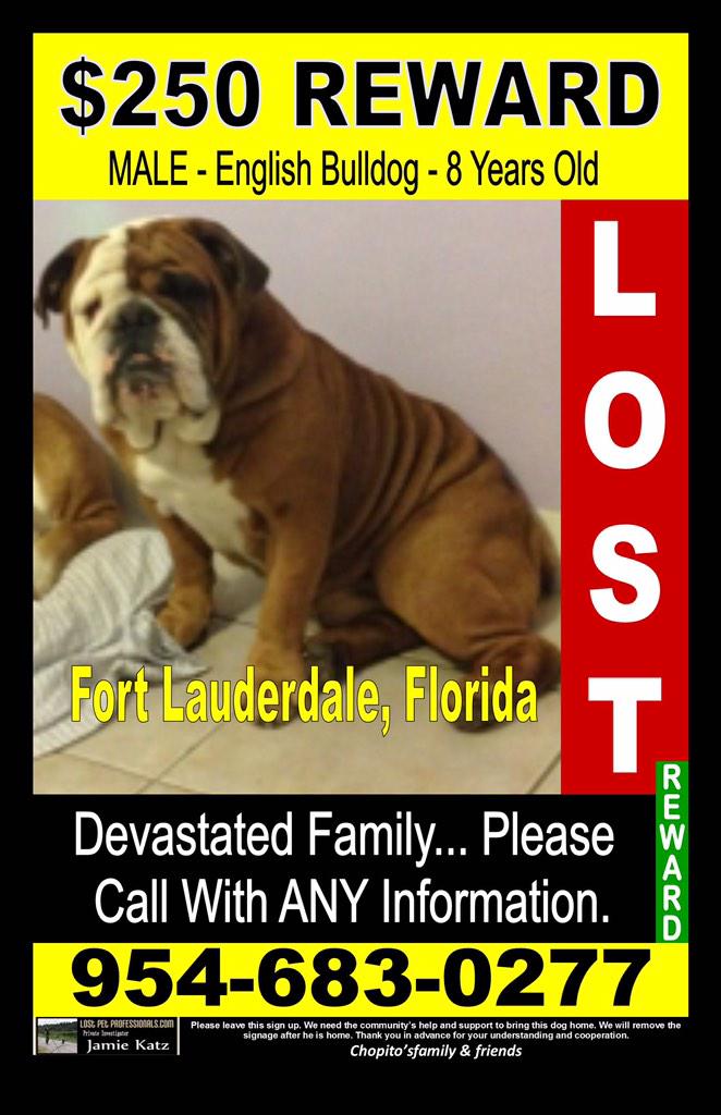 SupportPets's tweet photo. Thank you so very much for the many RT's on the missing #bulldog #chopito #pet #dog #Fortlauderdale YOU are Awesome! http://t.co/krUkFpiwbL
