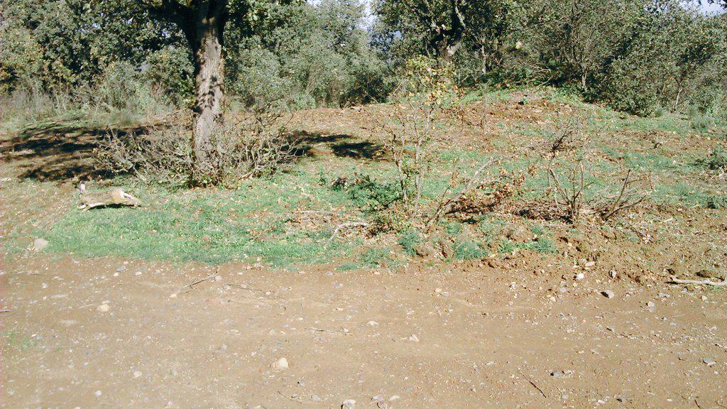 fran_garron's tweet photo. El campo siempre sabe sorprenderte si tienes paciencia y sabes respetarlo. #caza#naturaleza http://t.co/yTRkAseF2Q