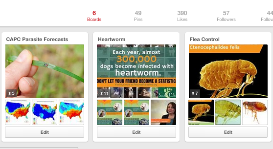 CAPCVet's tweet photo. Our Pinterest has infographics about heartworm, ticks & fleas to share w clients > http://t.co/4czzTZR1eT #navc2015 http://t.co/7HDZsvXTgZ