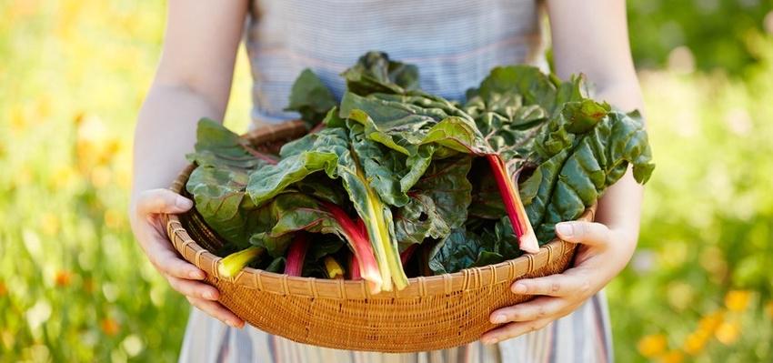 mindbodygreen's tweet photo. Easy Ways To Get More Iron On A Plant-Based Diet by @Osha_Key http://t.co/J9OEjiWyy4 http://t.co/xHwwODGrX5