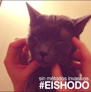Oficialeishodo's tweet photo. Estas técnicas terapéuticas estimulan los nervios faciales alcanzando las células de la piel. http://t.co/QhvOit56ge