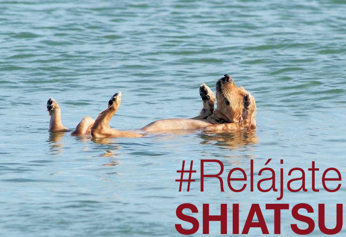 Oficialeishodo's tweet photo. El Shiatsu alienta un estado de ánimo positivo @SociedadShiatsu http://t.co/yr6gR3ZErK