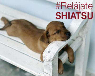 Oficialeishodo's tweet photo. El Shiatsu es una técnica de masaje que nos ayuda a transformar nuestras vidas http://t.co/UXrReWzTh6