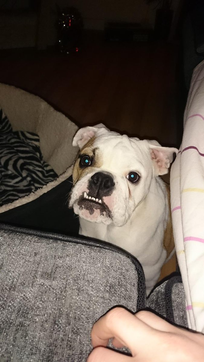 SamSamstevens's tweet image. 