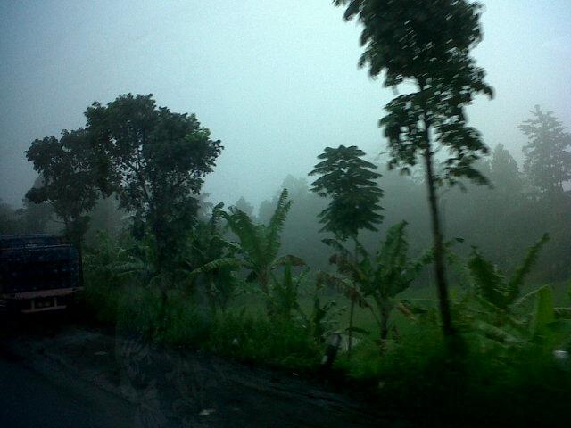 caca_kakoi's tweet photo. Selamat pagi http://t.co/Ag8XcXbFV1