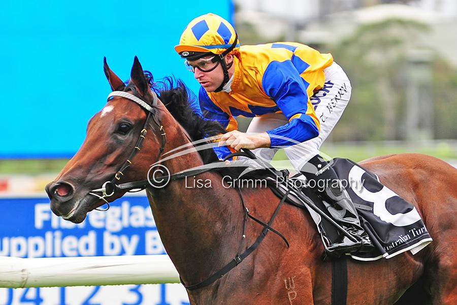 LisaGrimm9's tweet photo. Coolmore Classic and Doncaster are her aims..she's v talented ! #CosmicEndeavour @GaiWaterhouse1 @TommyBerry21 http://t.co/RSSaZYejz5