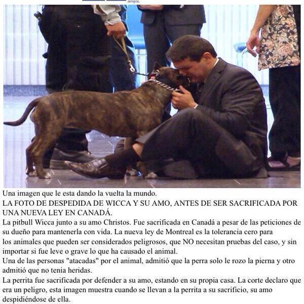 Esto me ha destrozado.