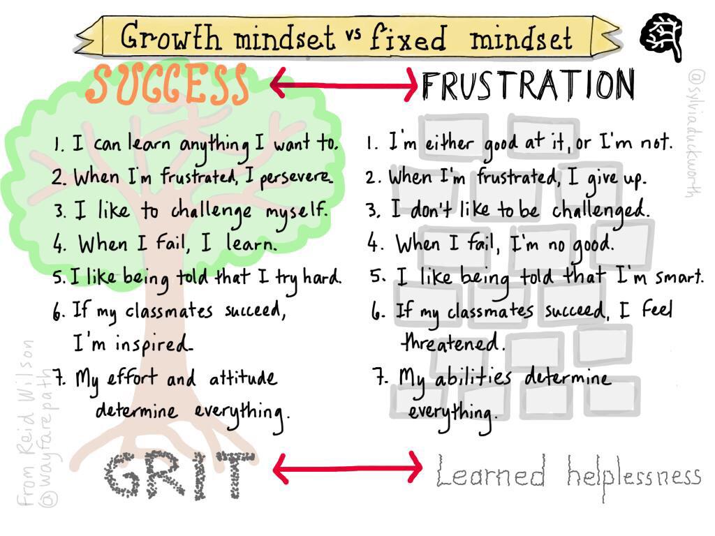 A4: Growth vs. Fixed for Ss and Ts  #whatisschool