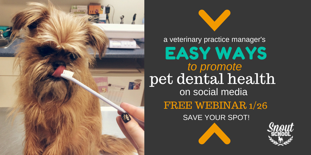 DanielleSNOUT's tweet photo. *FREE WEBINAR MON*
Promote pet dental health using social
Save your spot > http://t.co/wmovNWOSEj #vetmed #navc2015 http://t.co/BQFzhNlBzR