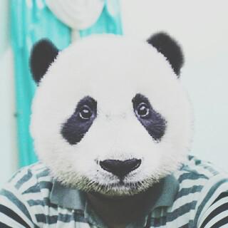 Molning panda :*