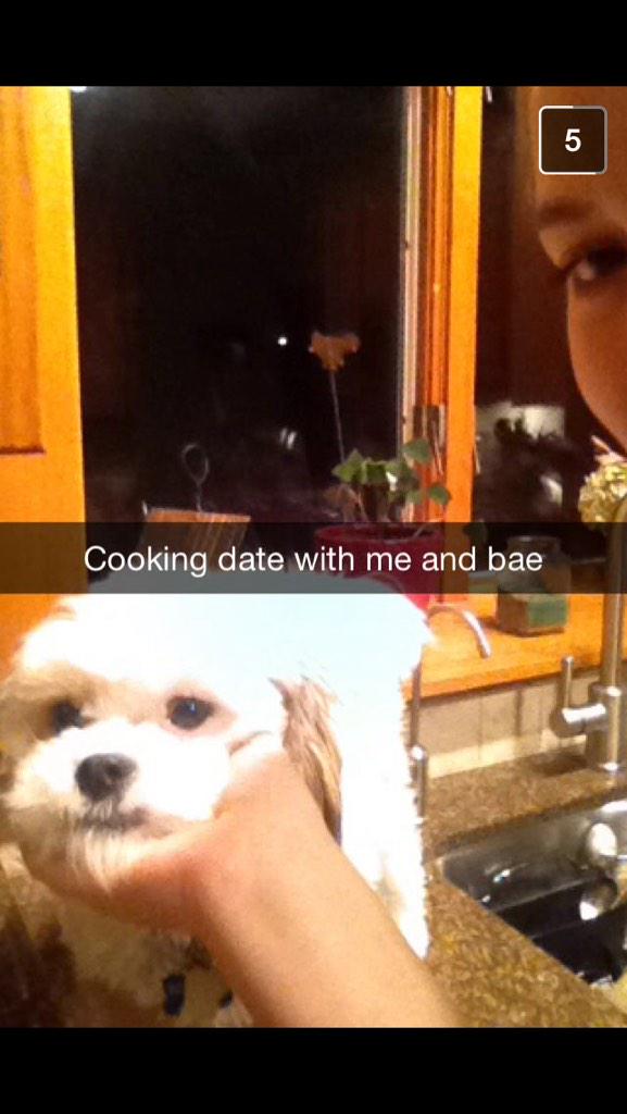 fluffyarchie's tweet photo. learning how to cook🐶🍷🍝 http://t.co/nTBRnhcbmO