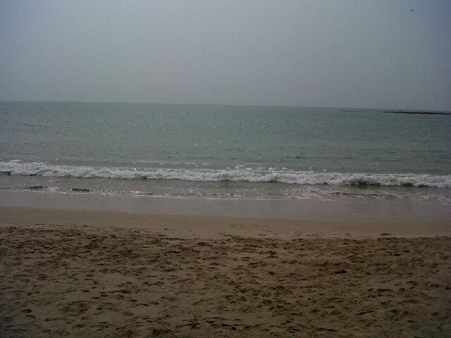 atar_ibnu tweet picture