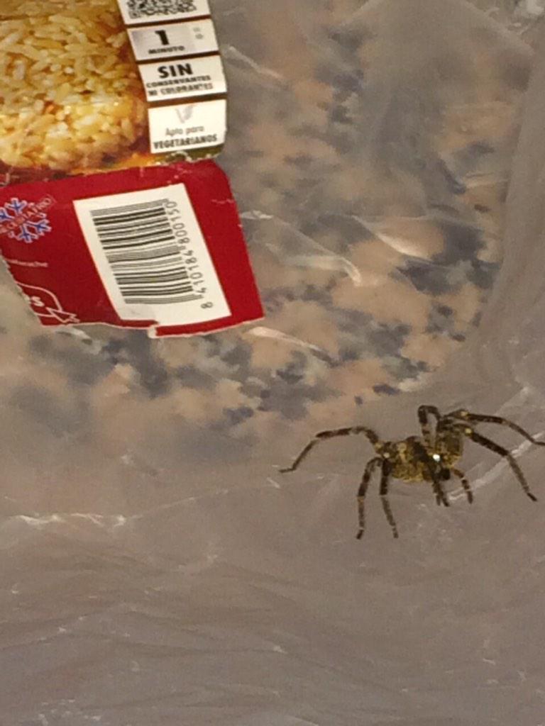 Max Murphy tweet media