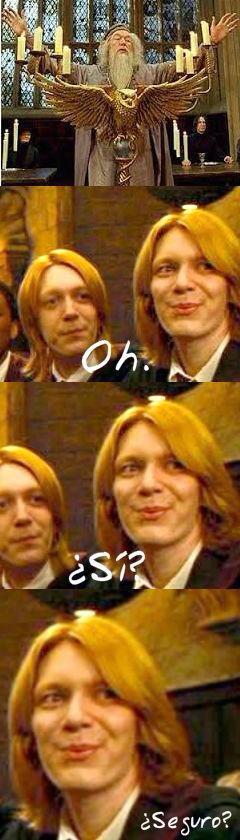 Ei_Quisquilloso's tweet image. Sólo los mayores de 17 años podrán participar en el torneo de los tres magos