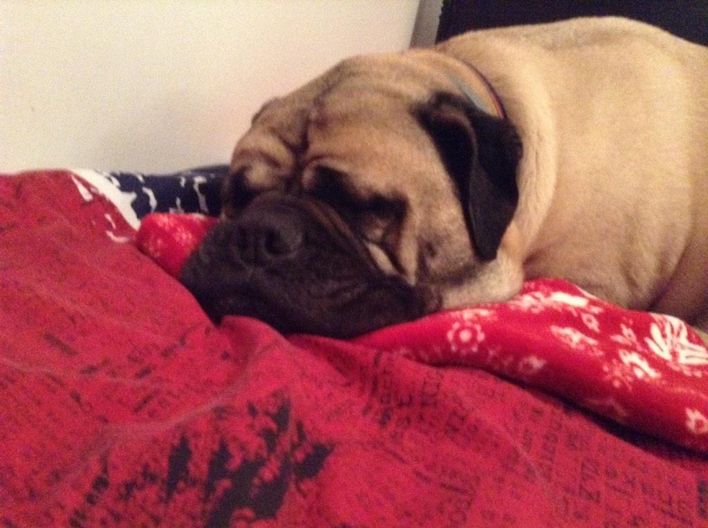 MeachRyan's tweet image. Much love for this thing 💓💞