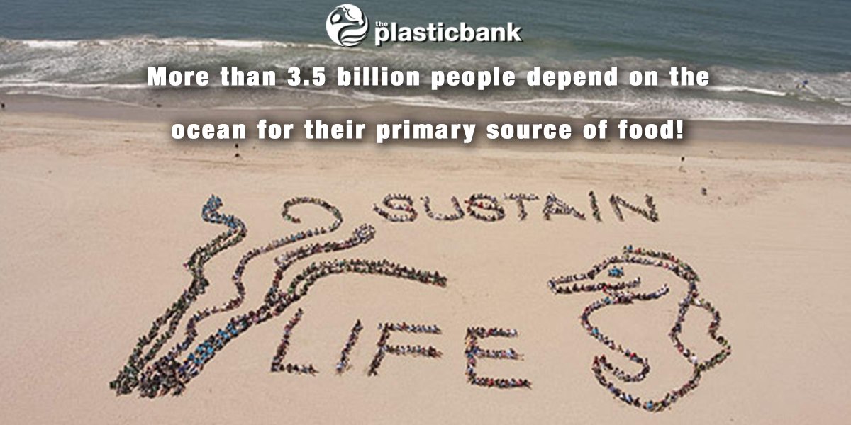 What are you doing to sustain life in the ocean?