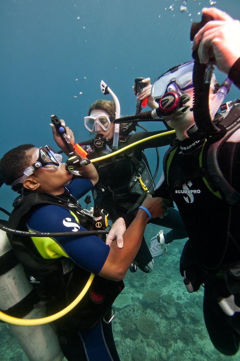 DiveInternship's tweet photo. Take charge. Become a PADI Divemaster!
#diveinternship #tenerife #workabroad #PADI
http://t.co/yVTYZzDe0x http://t.co/OLmbjMoEr6