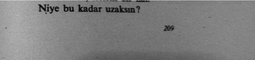 sedese_ tweet picture