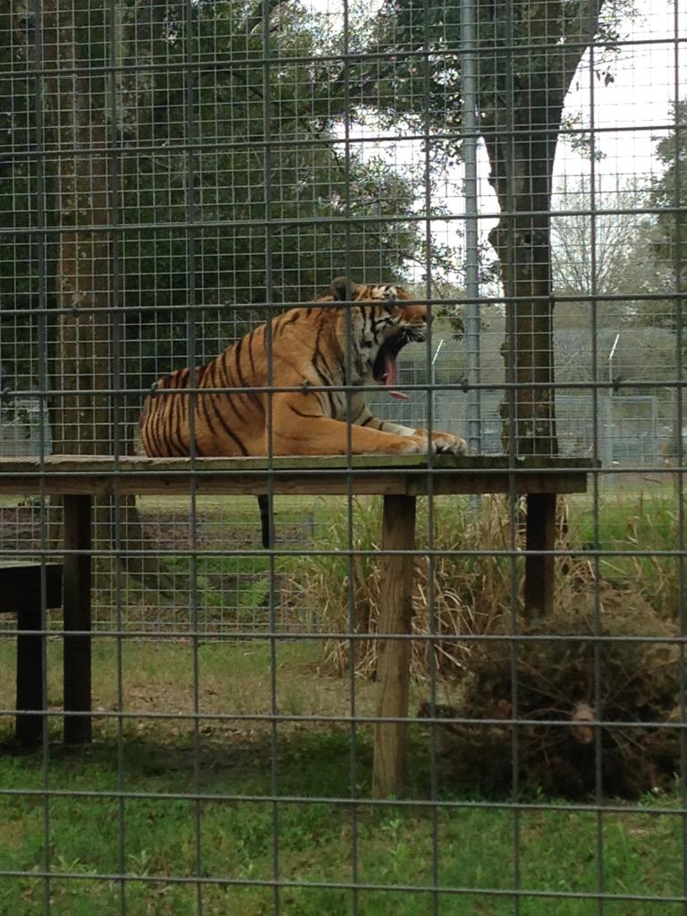 MAB_Tampa's tweet photo. Same. http://t.co/jozpVL3SKx