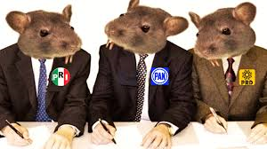 Serapio Robinson B tweet media