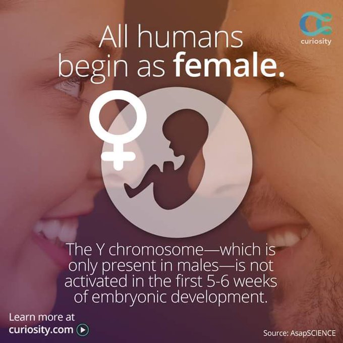 I have known about this for a while. This is why men have nipples. http://t.co/dQLo7dWjj1<a href="/tag/python"class="tags"><span>#python</span></a><a href="/tag/snake"class="tags"><span>#snake</span></a><a href="/tag/peekaboo"class="tags"><span>#peekaboo</span></a><a href="/tag/ballpython"class="tags"><span>#ballpython</span></a><a href="/tag/snakesc"class="tags"><span>#snakesc</span></a>