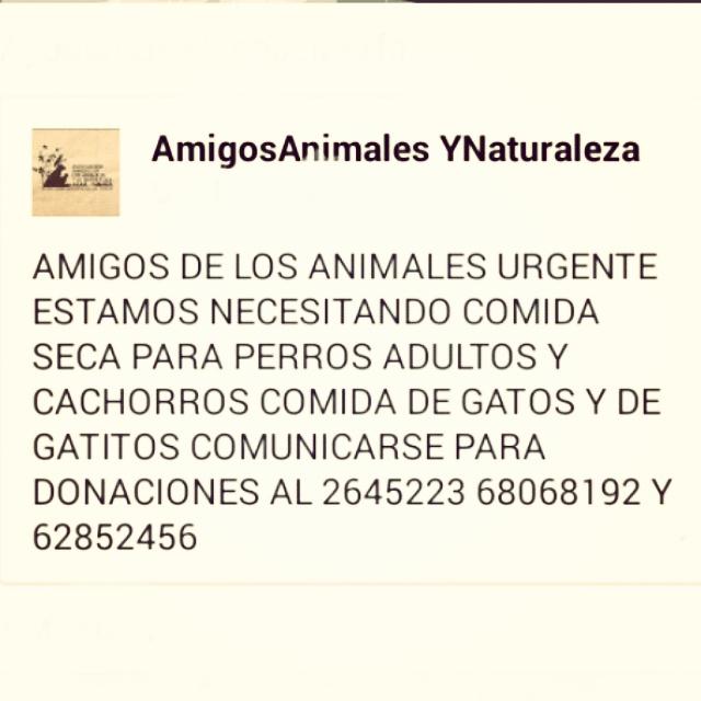 AAAN Panamá tweet media