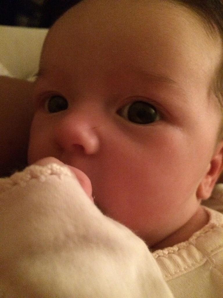 Wide awake at 4:30 this morning. When is nap time???