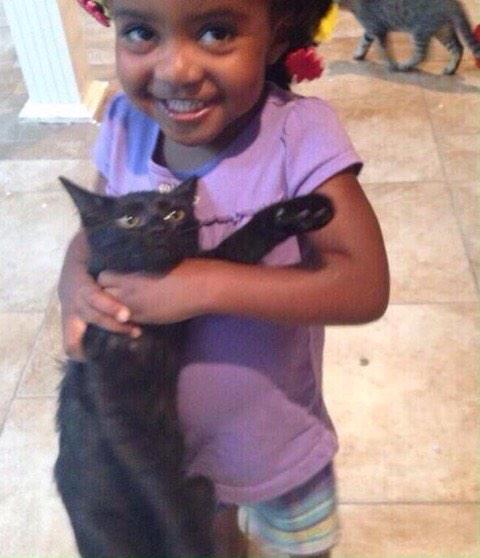 le_maymay's tweet photo. Yall pray for my cat Bruh 😭 #betarocks15 http://t.co/jkCiFAhtTf