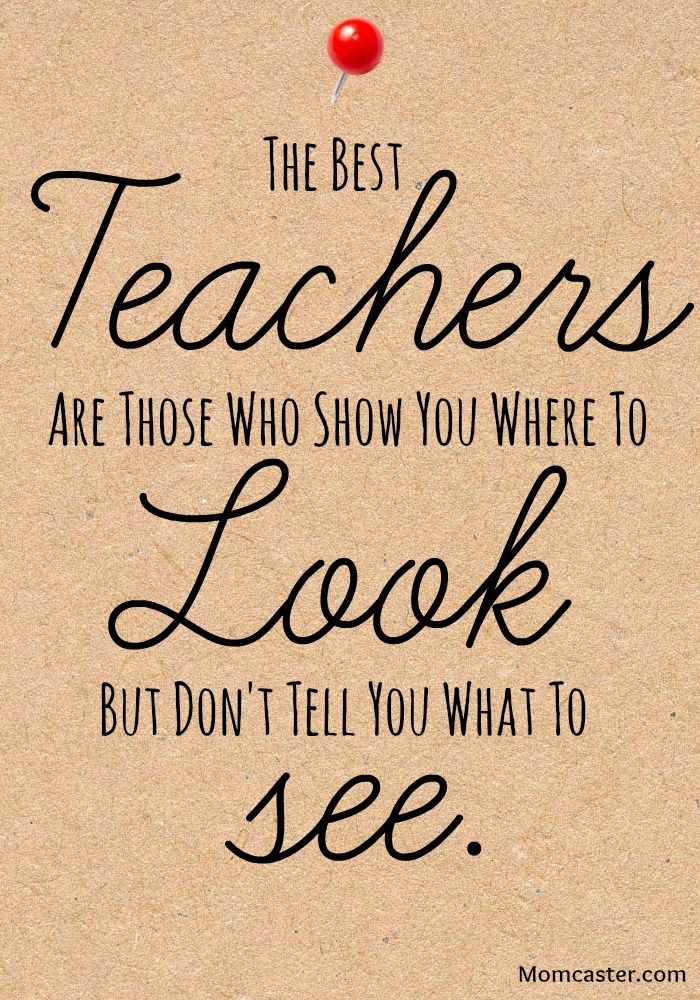 WeAreTeachers's tweet photo. #edchat #ntchat http://t.co/IQEE4aw7fc