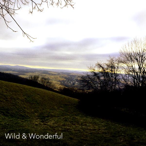 wvrealestateman's tweet image. 'Wild &amp;amp; Wonderful' #nature via @momentlyapp #venice