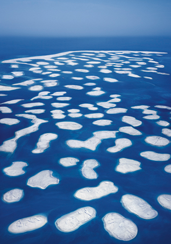 Happy 60th Birthday, Andreas Gursky! Geboren am 15.1.1955 in Leipzig 