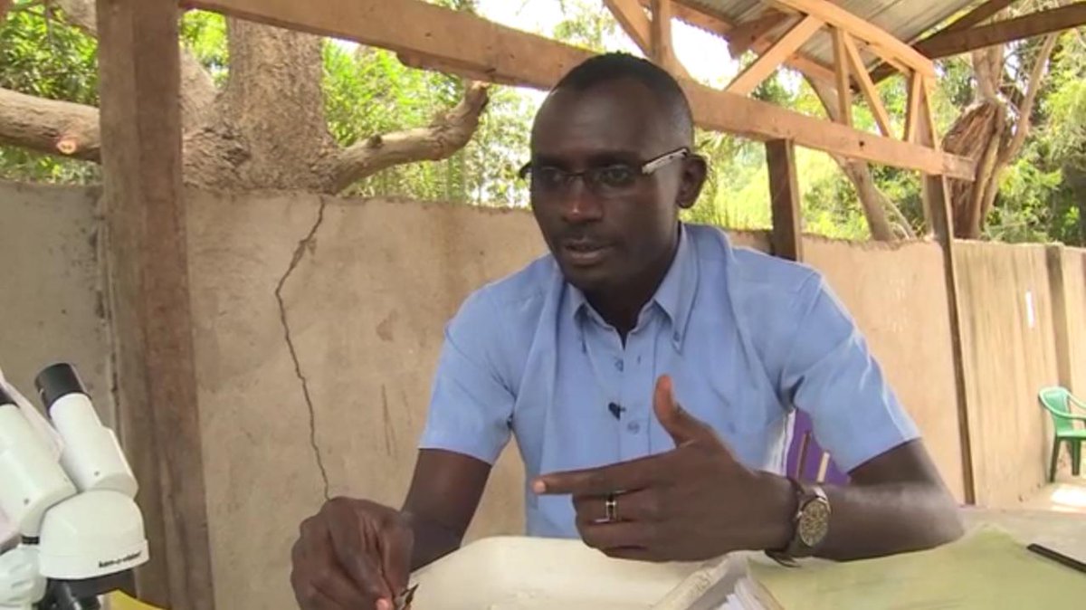 Lifelines tweet media