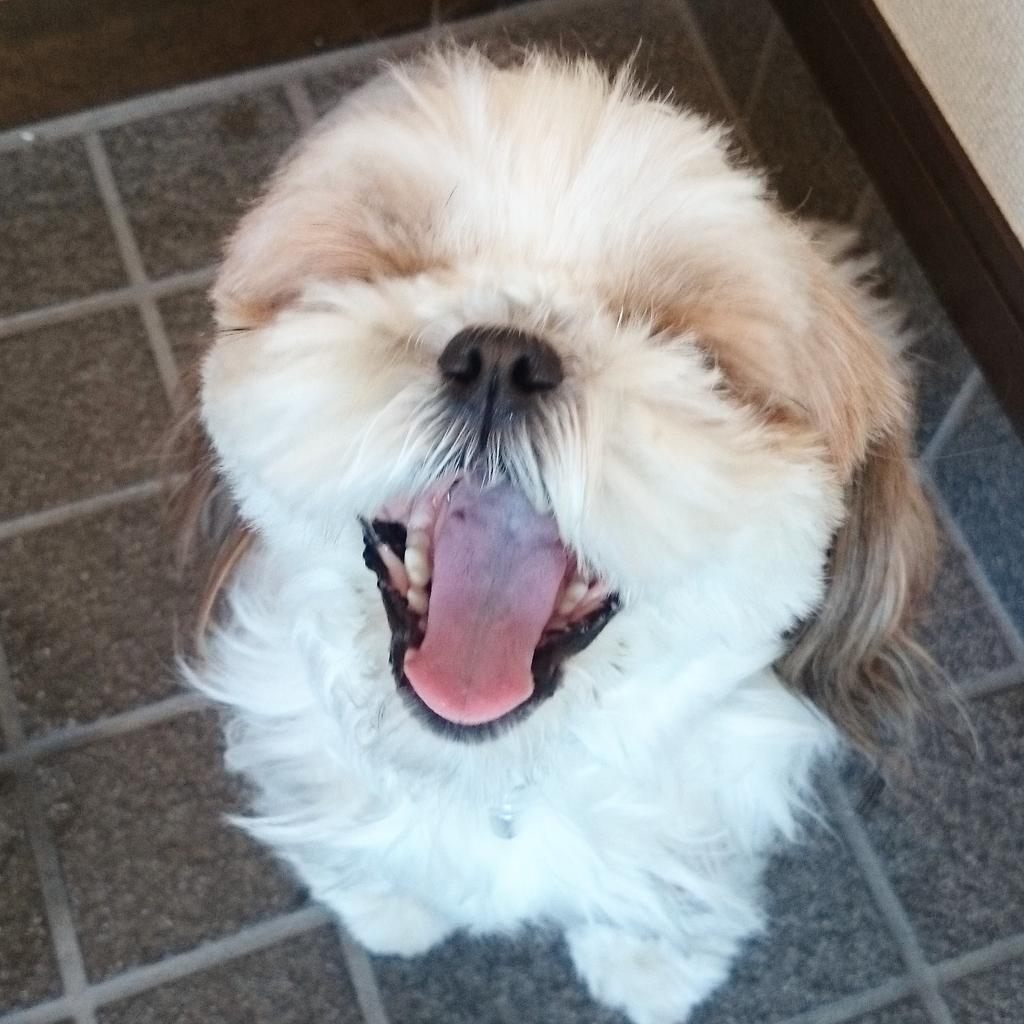 犬の口にはゴムパッキンがついている